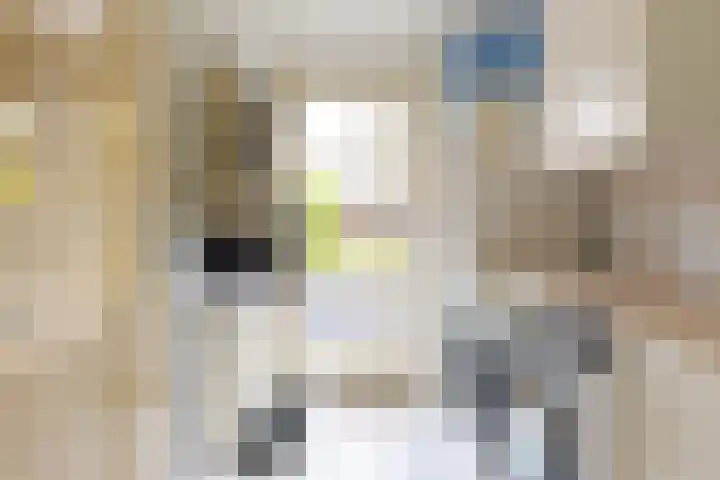 Nijlanderstraat 3 Rolde thumbnail 29