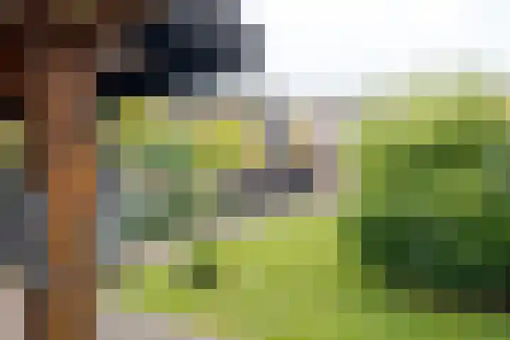Nijlanderstraat 3 Rolde thumbnail 56