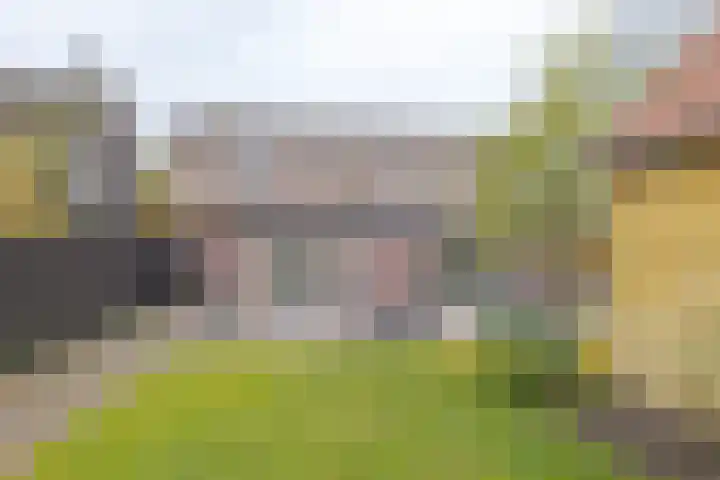 Nijlanderstraat 3 Rolde thumbnail 60