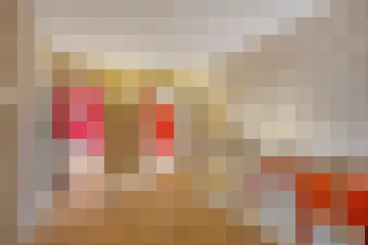 Nijlanderstraat 6 Rolde thumbnail 23