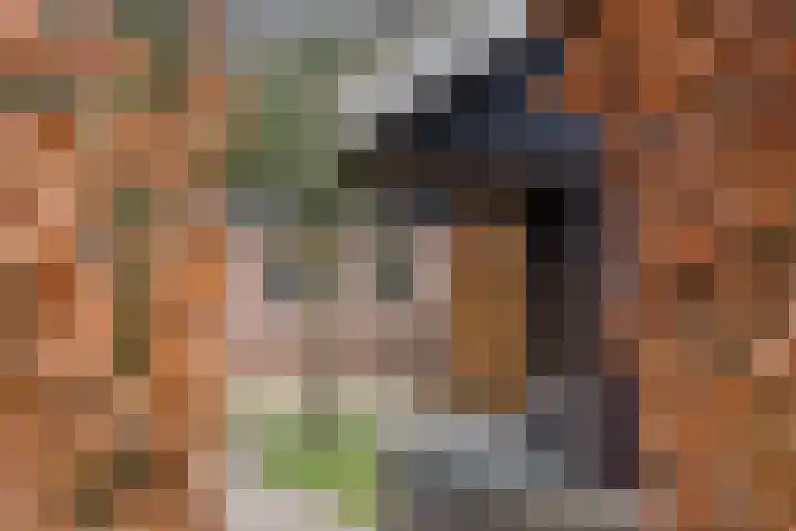Nijlanderstraat 6 Rolde thumbnail 36