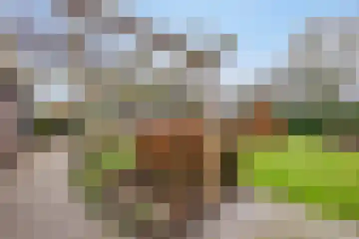 Nijlanderstraat 6 Rolde thumbnail 39