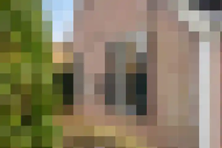 Nijlanderstraat 6 Rolde thumbnail 41