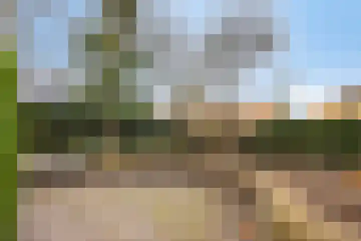 Nijlanderstraat 6 Rolde thumbnail 42