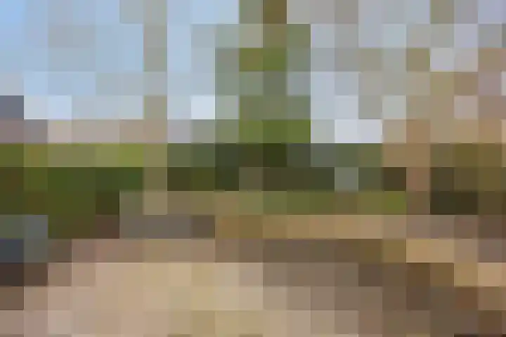 Nijlanderstraat 6 Rolde thumbnail 43