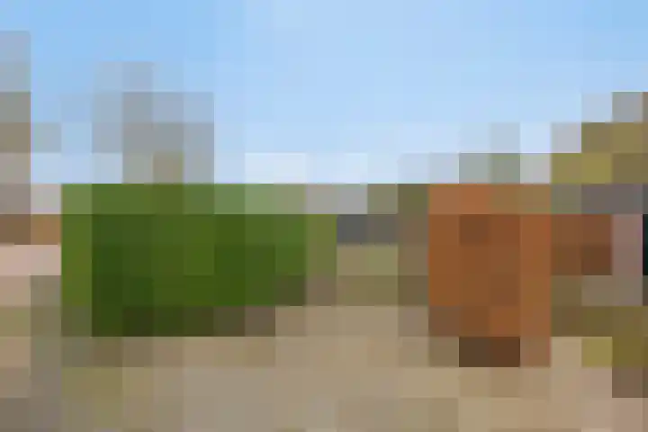 Nijlanderstraat 6 Rolde thumbnail 46