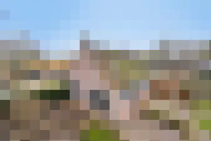 Nijlanderstraat 6 Rolde thumbnail 47