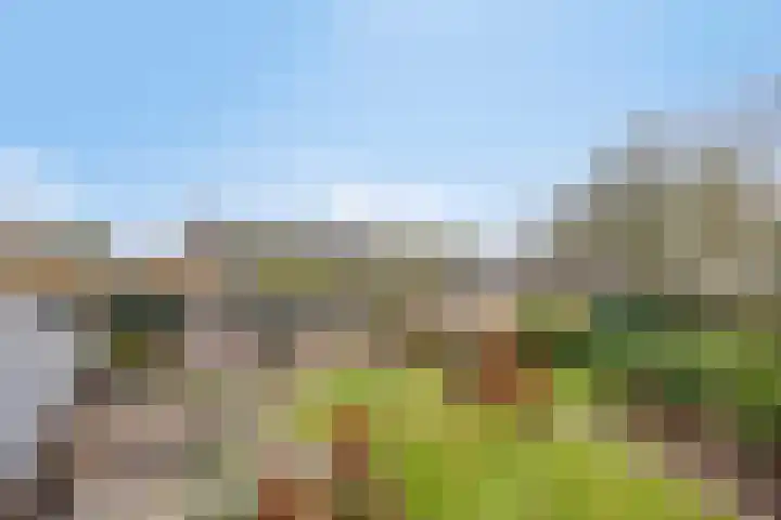 Nijlanderstraat 6 Rolde thumbnail 48