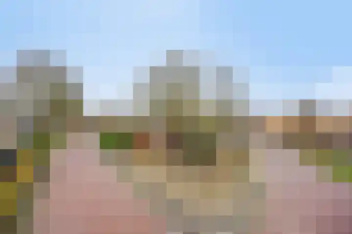 Nijlanderstraat 6 Rolde thumbnail 54