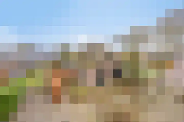 Nijlanderstraat 6 Rolde thumbnail 58
