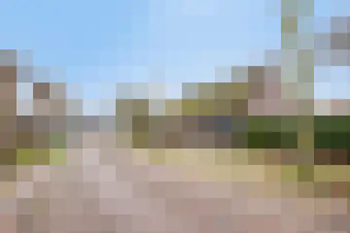 Nijlanderstraat 6 Rolde thumbnail 60