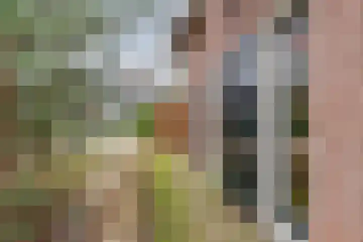 Nijlanderstraat 6 Rolde thumbnail 62