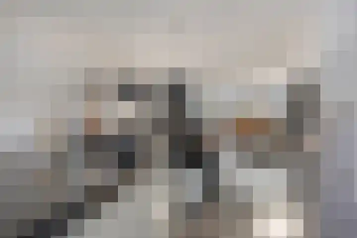 Nijmansbos 42 Enschede thumbnail 23