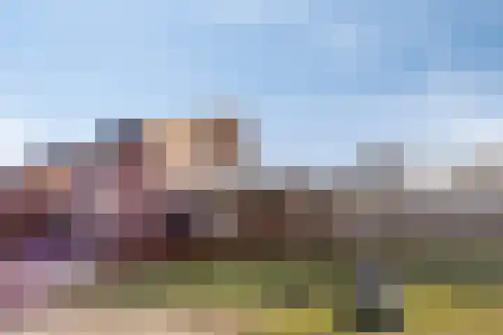 Nijmansbos 42 Enschede thumbnail 56
