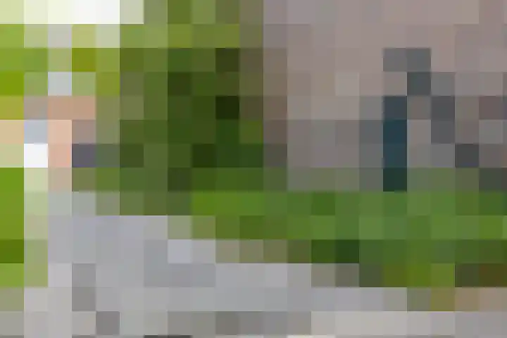 Nijreesweg 34 Almelo thumbnail 29