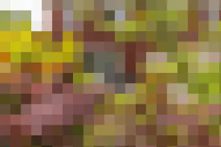 Nijreesweg 34 Almelo thumbnail 30