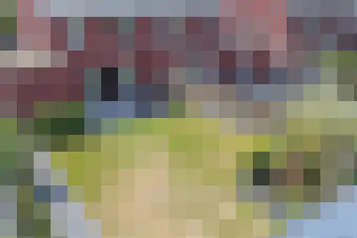 Nijreesweg 34 Almelo thumbnail 33