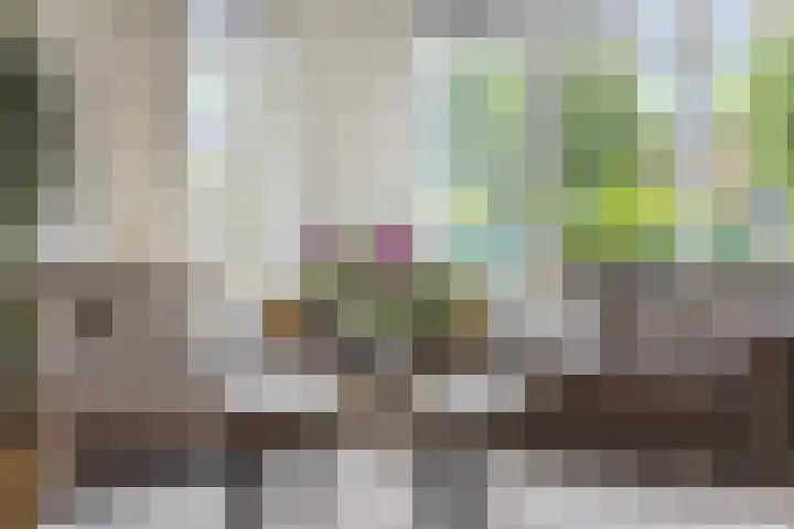 Nijreesweg 34 Almelo thumbnail 7