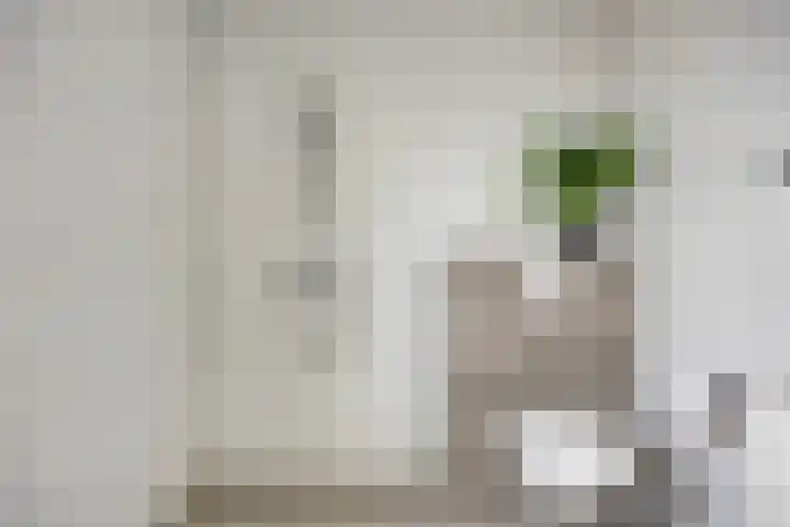 Nijreesweg 4 Almelo thumbnail 19