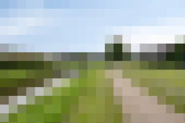 Nijreesweg 4 Almelo thumbnail 29