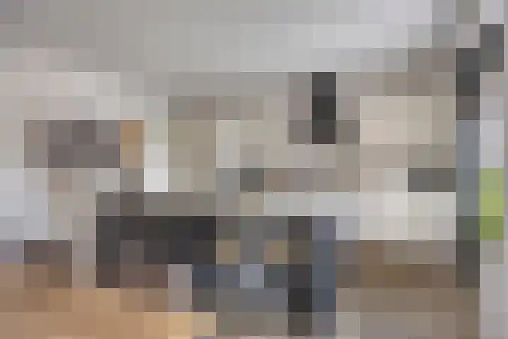Nijreesweg 4 Almelo thumbnail 8