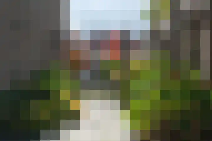 Nijreesweg 82 Almelo thumbnail 34