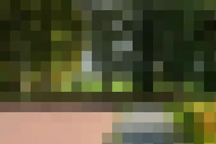 Nijreesweg 82 Almelo thumbnail 39