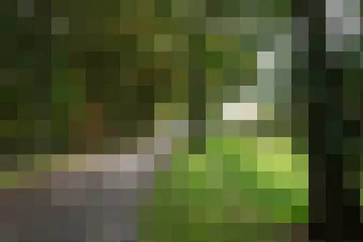 Nijreesweg 82 Almelo thumbnail 42