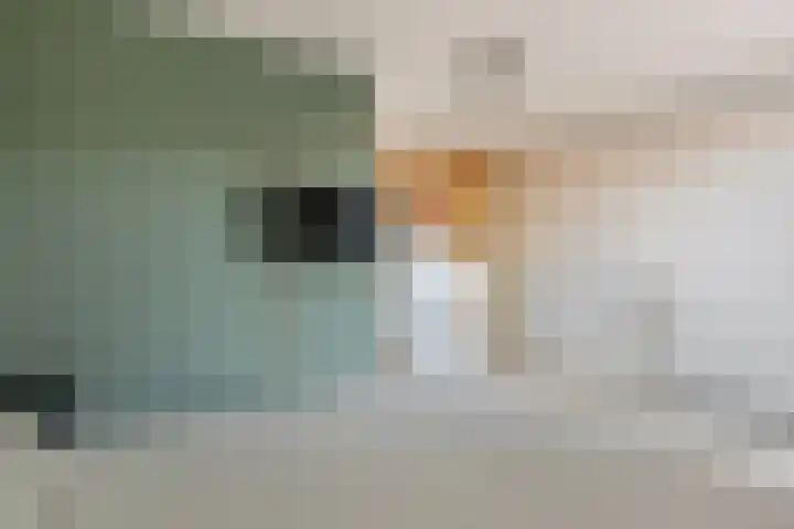 Nijstad 15 Borne thumbnail 14