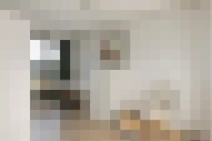 Nijstad 15 Borne thumbnail 15