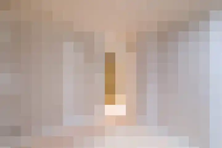 Nijstad 19 Genemuiden thumbnail 27