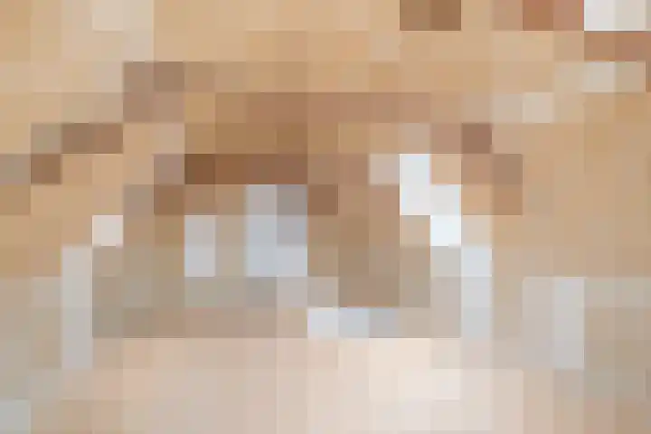 Nijstad 19 Genemuiden thumbnail 38