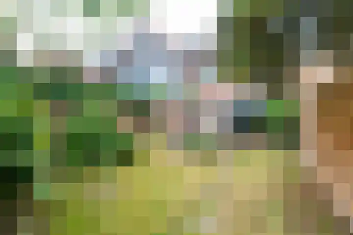 Nijstad 19 Genemuiden thumbnail 41