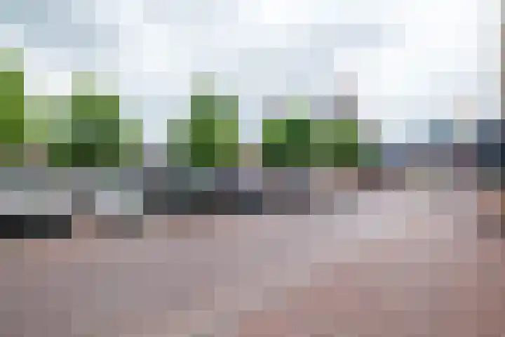 Nijstad 19 Genemuiden thumbnail 43