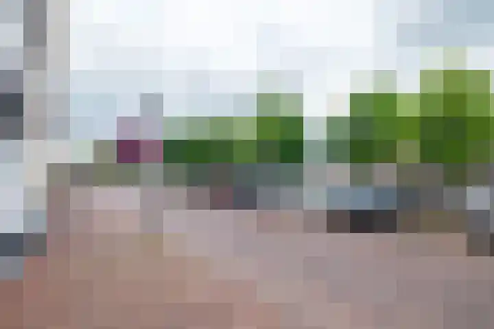 Nijstad 19 Genemuiden thumbnail 44