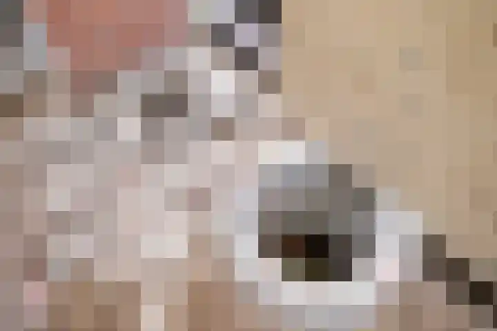 Nijstad 19 Genemuiden thumbnail 5