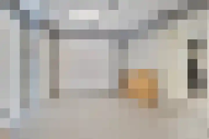 Nistelrodesedijk 7 Vorstenbosch thumbnail 17