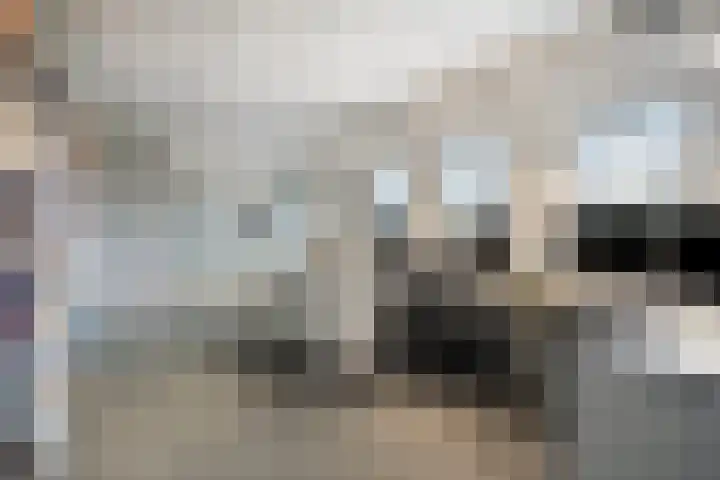 Nistelrodesedijk 7 Vorstenbosch thumbnail 34