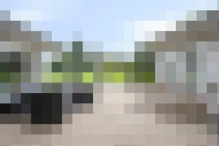 Nistelrodesedijk 7 Vorstenbosch thumbnail 41