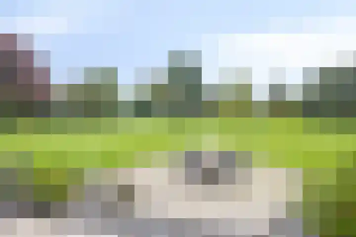 Nistelrodesedijk 7 Vorstenbosch thumbnail 42