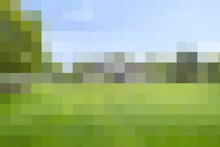Nistelrodesedijk 7 Vorstenbosch thumbnail 43