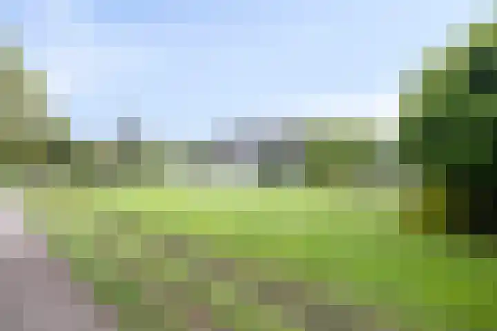 Nistelrodesedijk 7 Vorstenbosch thumbnail 48