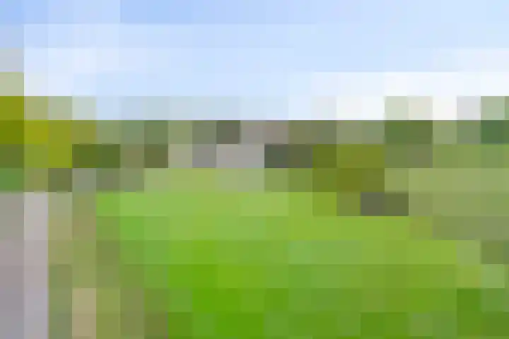 Nistelrodesedijk 7 Vorstenbosch thumbnail 49