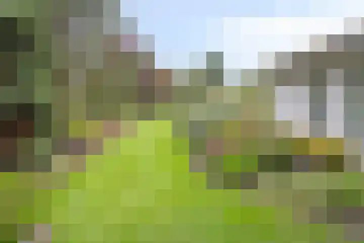 Nistelrodesedijk 7 Vorstenbosch thumbnail 53