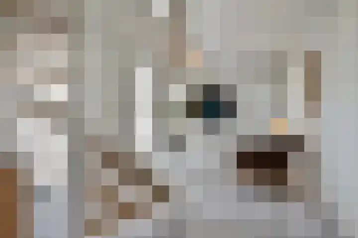 Nistelrodesedijk 7 Vorstenbosch thumbnail 7