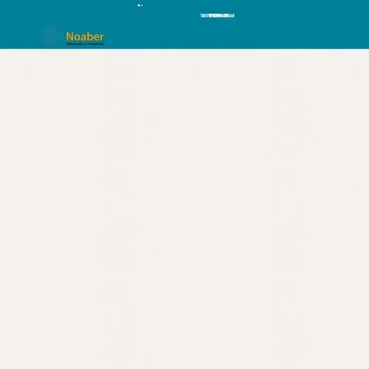 Screenshot of the website of www.noaber.nu