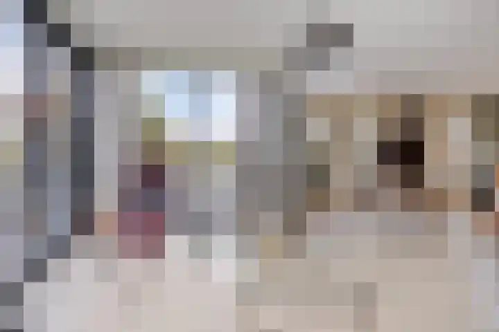 Noard 75 H Workum thumbnail 10