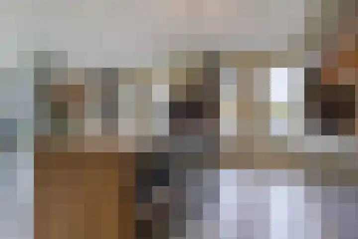 Noard 75 H Workum thumbnail 17