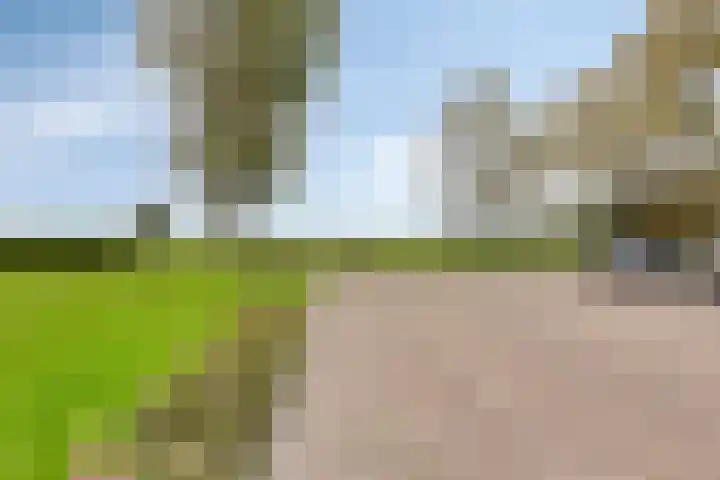 Noard 75 H Workum thumbnail 33