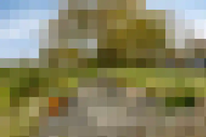 Noard 75 H Workum thumbnail 34